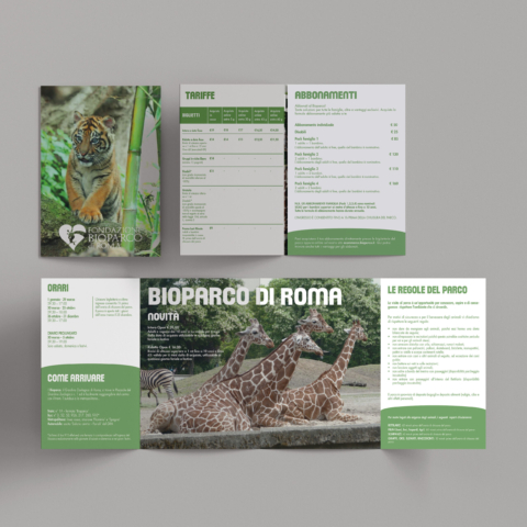brochure_mockup