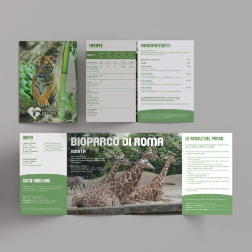 brochure_mockup