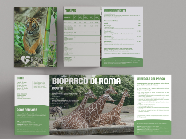 brochure_mockup