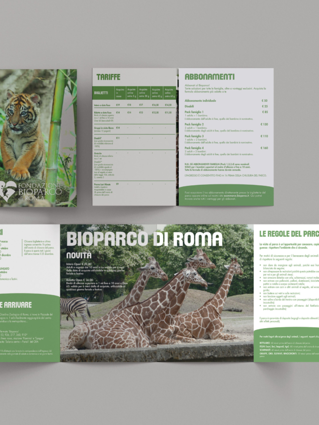 brochure_mockup