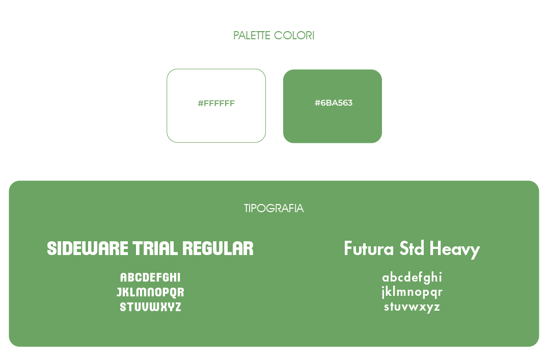 brochure-27